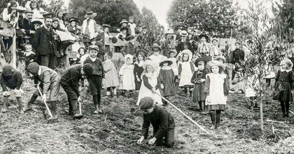 10% to the Arbor Day Foundation