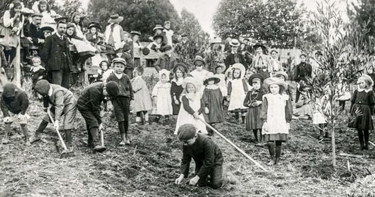 10% to the Arbor Day Foundation