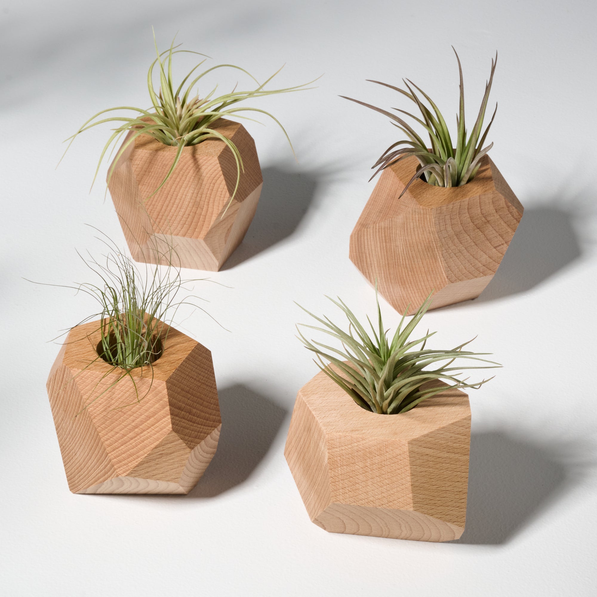 air plant holder wood Geometric faceted wall mounted air plant holder