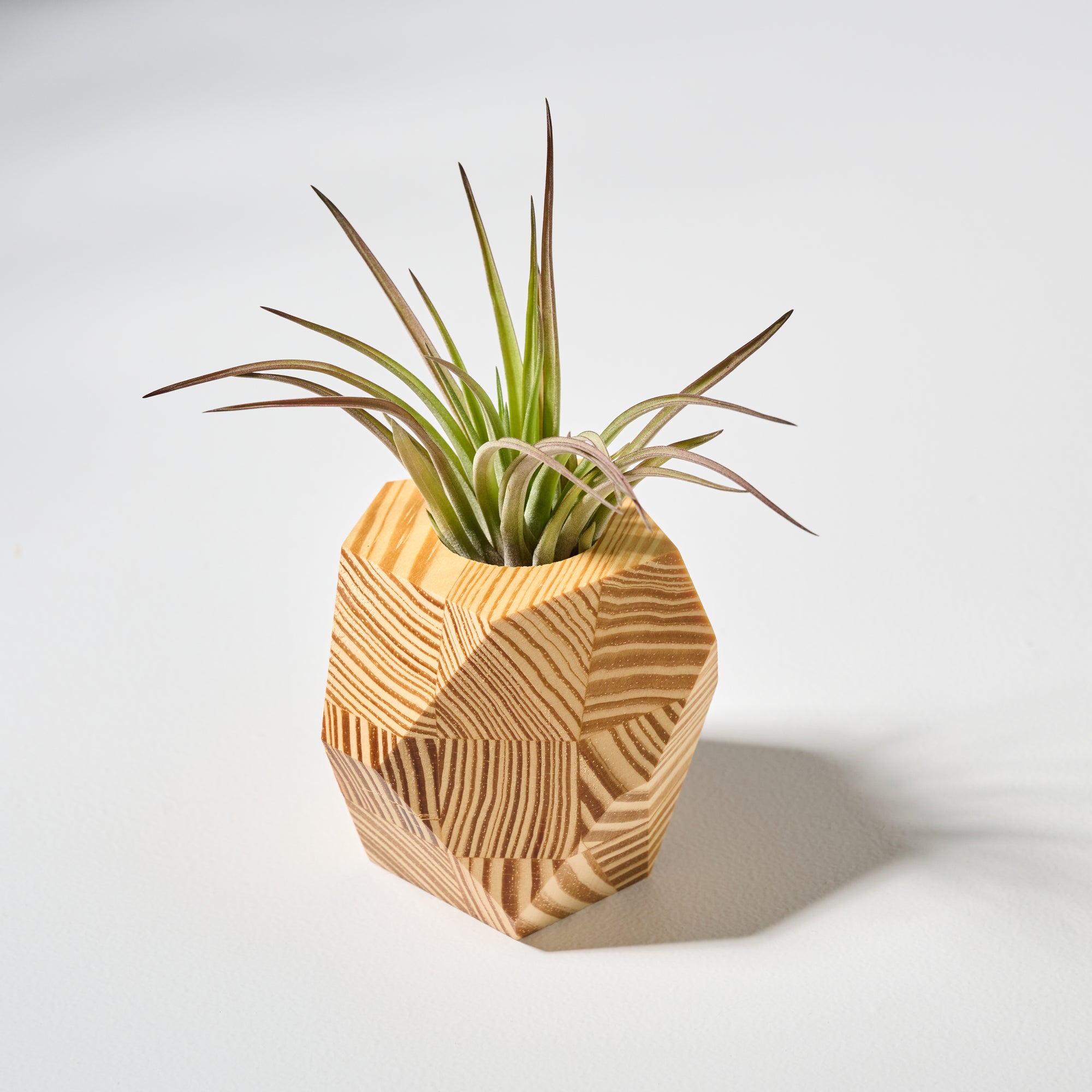 wood air plant holder Geometric faceted wall mounted air plant holder